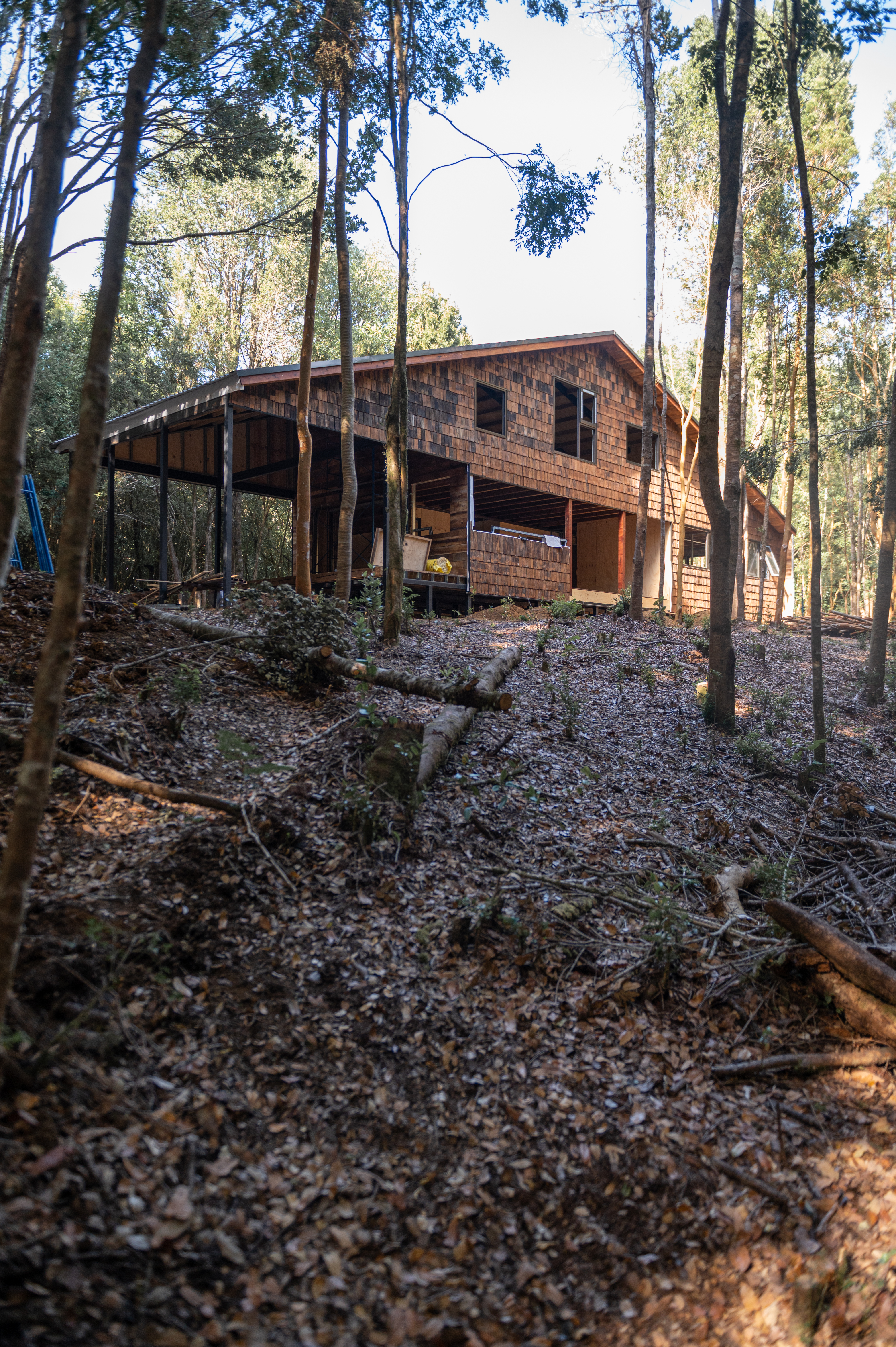 Proyecto CASA VICENTE